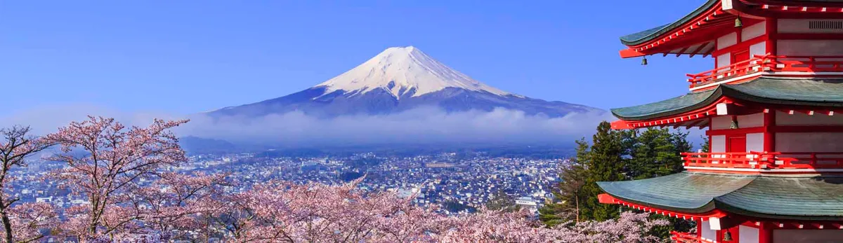 Süper Promo Japonya & Kore Turu
