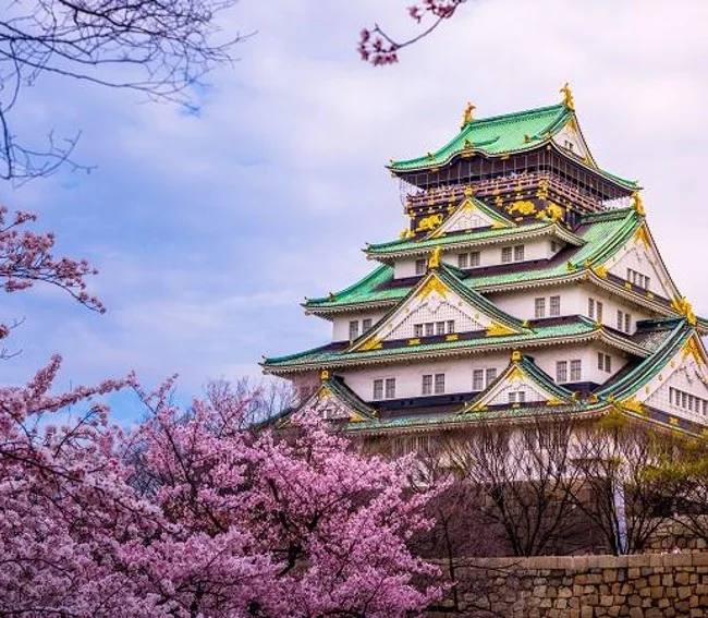 Süper Promo Japonya & Kore Turu