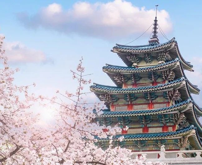 Süper Promo Direkt Sefer İle Japonya Turu