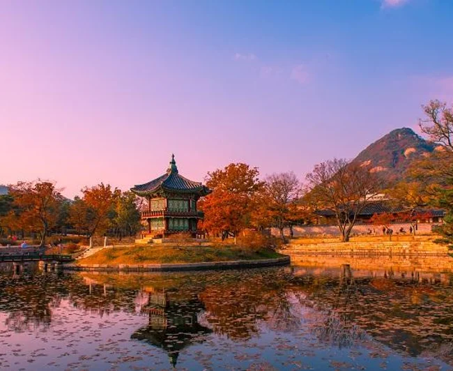 Süper Promo Japonya & Kore Turu