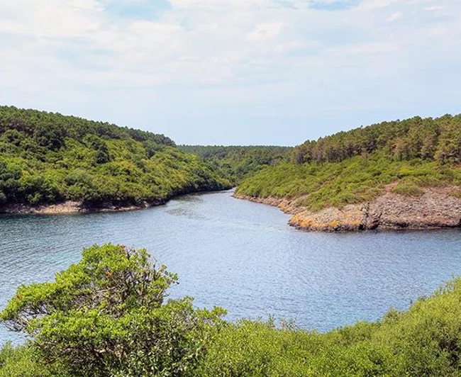 Butik Sinop Kastamonu Turu