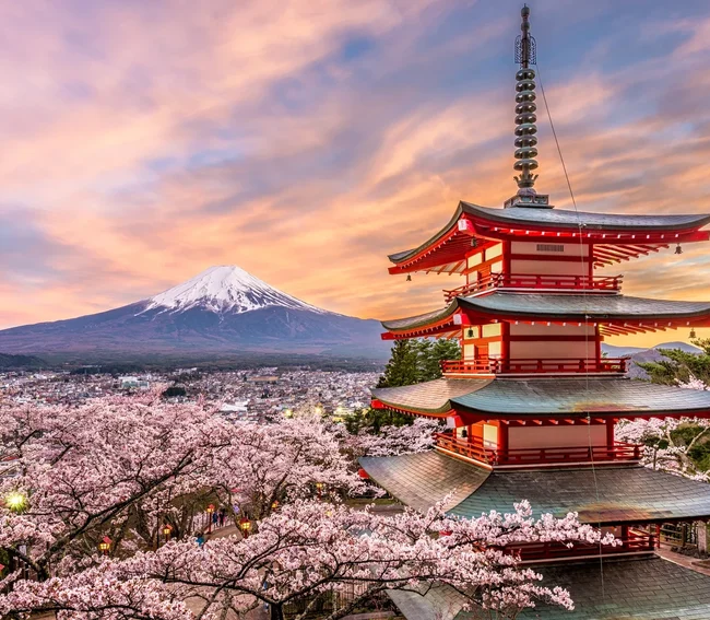 Süper Promo Direkt Sefer İle Japonya Turu